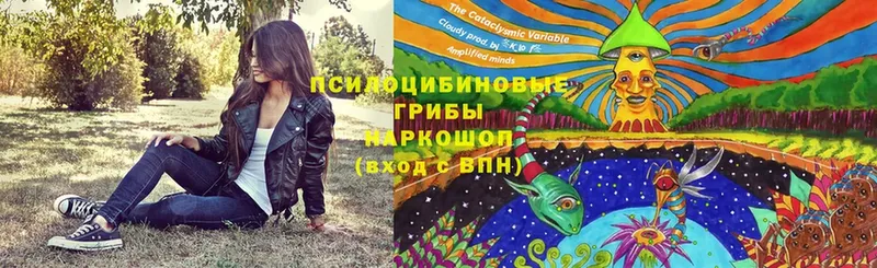 Галлюциногенные грибы MAGIC MUSHROOMS  купить закладку  Сыктывкар 